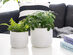 Potey 6" & 5" Ceramic Planter Set