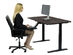 RiseUp Electrical Height Adjustable Standing Desk
