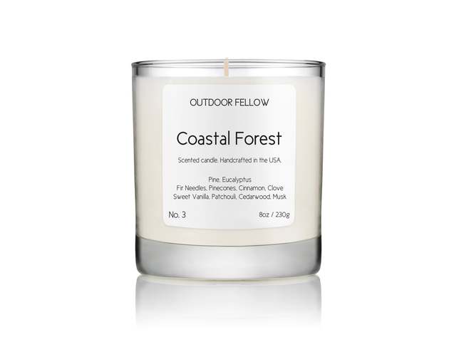 Coastal Forest Scented Candle