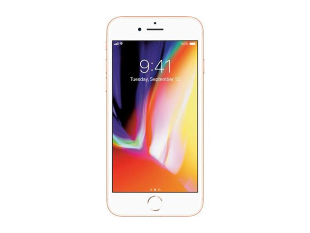 Apple iPhone 8 (A1863) 256GB - Gold (Grade A Refurbished: Wi-Fi + Unlocked)