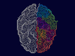 Master Your Brain: Neuroscience For Personal Development