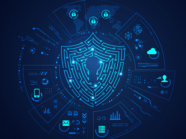 The Cybersecurity Expert Certification Training Bundle