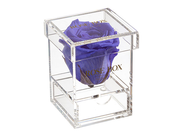 Rose Box™ Single Rose Jewelry Box (Spring Purple)