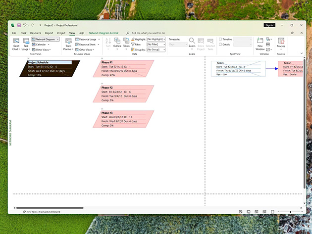 Microsoft Project Standard 2024: Lifetime License for Windows