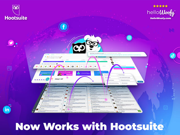 HelloWoofy™ Social Media Management: 2-Yr Subscription