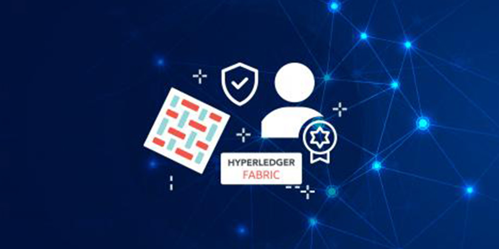 Certified Blockchain Developer-Hyperledger