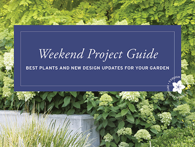 FREEBIE: Monrovia Garden & Planning Guides