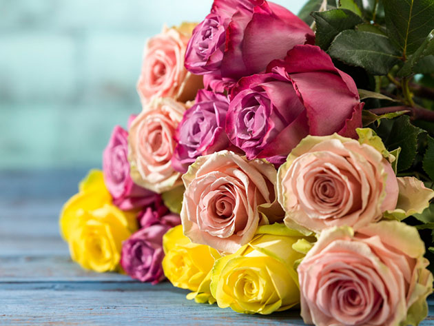 Get 2 Dozen Farmer's Color Choice Long-Stem Roses for Only $24.99! (Shipping Not Included)