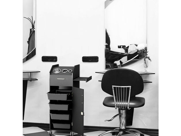 Costway Black Beauty Salon Spa Rolling Trolley 4 Storage Trays &Locking Door Equipment - Black
