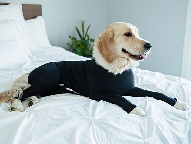 Shed Defender® Original: The World's First Onesie for Dogs (Black/XL)