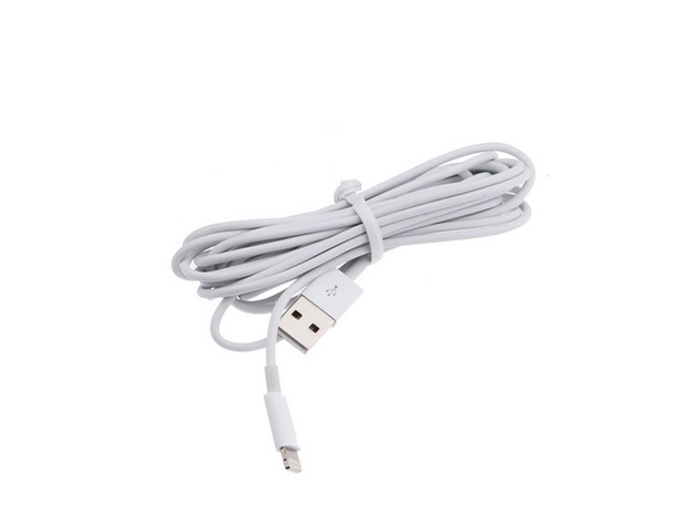 10ft iPhone 5 / iPad Mini Lightning USB Cable 