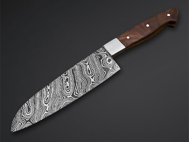 Pro Chef Kitchen Paring Knife | theChive University