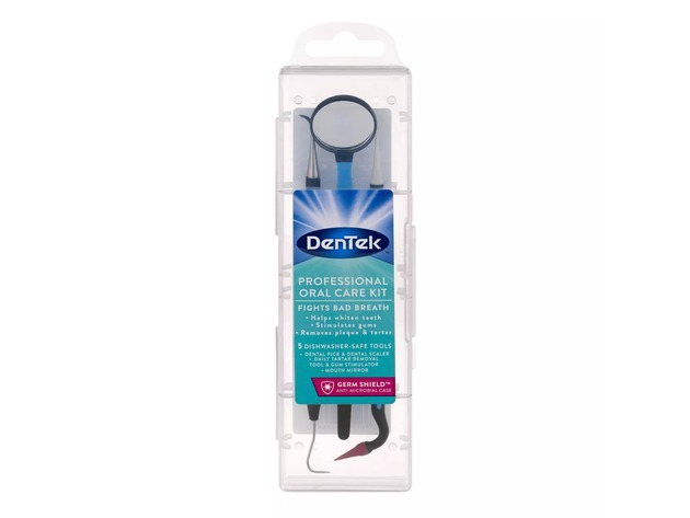 Dentek Professional Oral Care Kit with Germ-resistant Antimicrobial Case, Stainless Steel