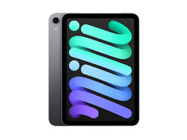 Apple iPad mini (2021) 6th Gen 256GB Wi-Fi & 5G Unlocked Space Gray (Refurbished)