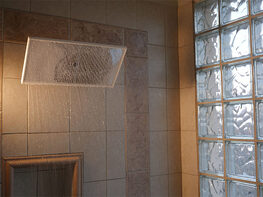 Clear Shower XL: Mirror Showerhead with Ball Attachment