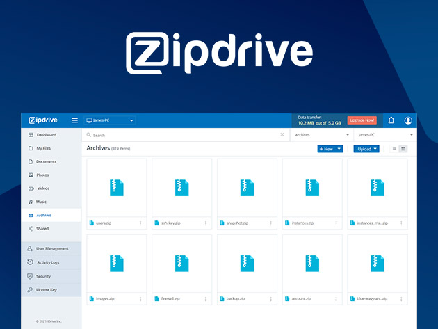 ZipDrive Basic Plan: 10-Yr Subscription