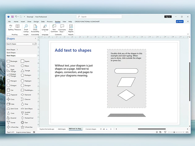 Microsoft Visio Standard 2024: Lifetime License for Windows