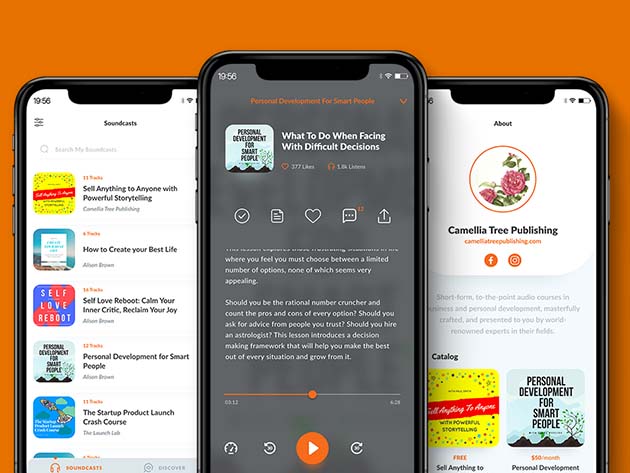 Soundwise Sell Paid Audio Directly to Listeners: Lifetime Subscription