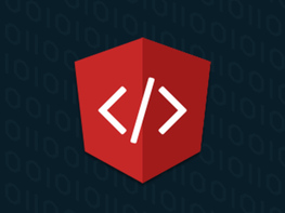 The Complete Angular Developer Certification Bundle