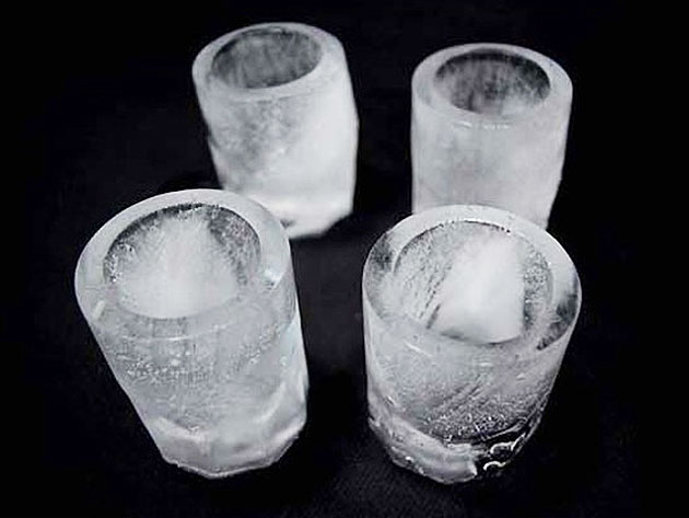 Silicone Shot Glass Ice Tray Molds