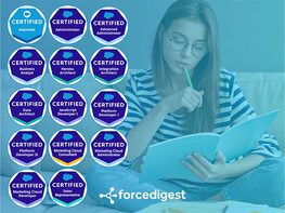 The 2023 Salesforce Certification Exam Training: Lifetime Subscription