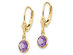 14K Yellow Gold Amethyst Dangle Drop Leverback Earrings
