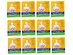 Salonpas-Hot Capsicum Patch for Large Pain Area, Provides Effective Pain Relief for up to Eight Hours, 1 Patch