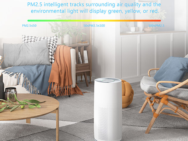 Wetie PM2.5 Air Purifier with HEPA Filter
