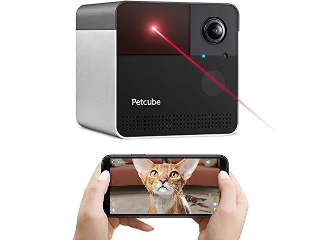 Petcube Play 2 Wi-Fi Pet Camera with Laser Toy & Alexa Built-In, for Cats & Dogs (Used)