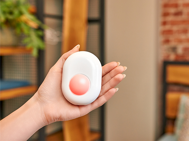 Shelly 4-Pack Duo WiFi Bulbs + Shelly Motion Sensor Bundle