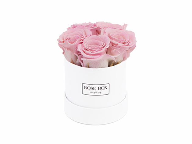 Mini White Box with Light Pink Roses