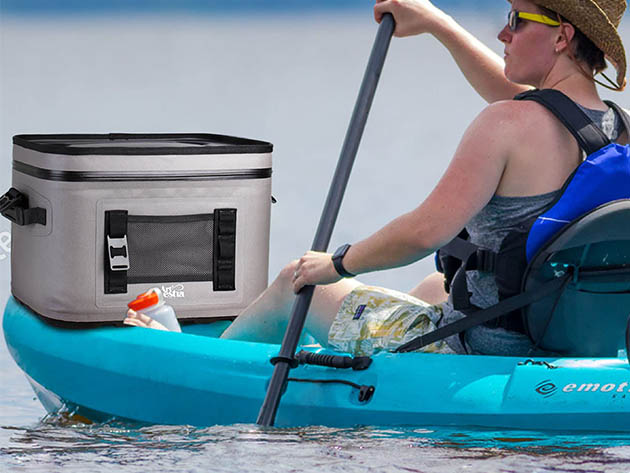 Artestia 23-Can Insulated Leakproof Cooler Bag 