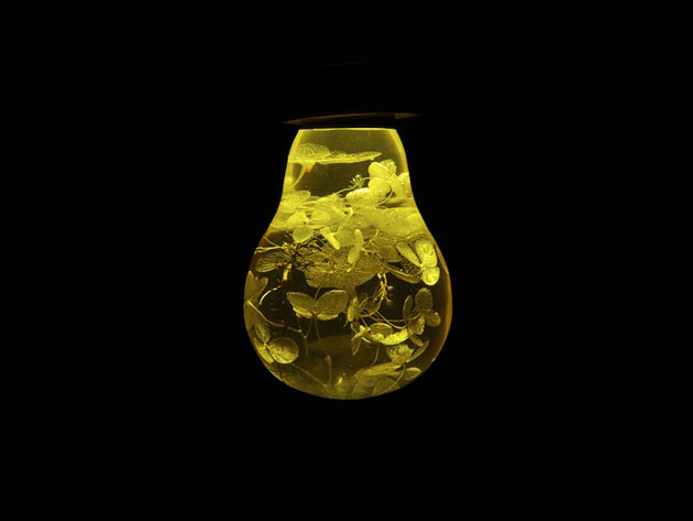 Eco-Friendly LED Light Bulb with Metal Base (Yellow Hydrangea)