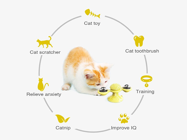 Cat LED Toy Spinner