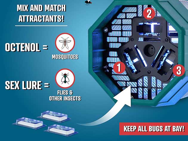 Flowtron 2 Acre Coverage Electric Bug Zapper (150W, Indoor/Outdoor)