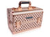 SHANY Fantasy Collection Makeup Artists Cosmetics Train Case - ROSE GOLD