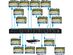 OREI 1 in 16 4K Out HDMI Splitter 4:4:4 8-bit - HDMI 2.0, HDCP 2.2, 18 Gbps, 4K @ 60Hz HDMI Duplicator/Distributor UltaHD High Resolution (UHDS-1016)) (1x16)