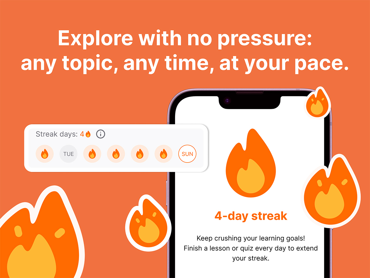 Nibble All-Around Knowledge App (Lifetime Subscription)
