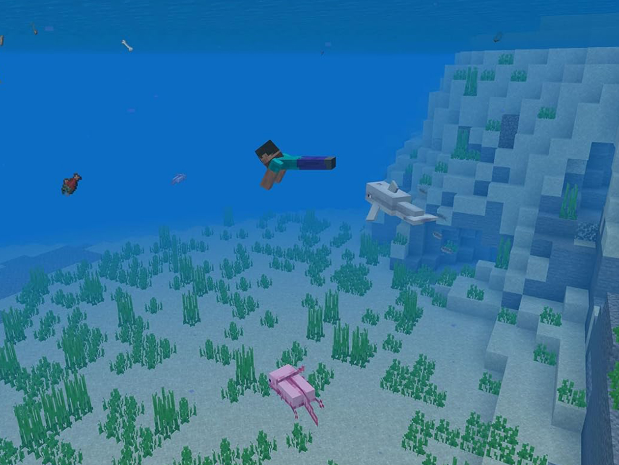 Minecraft: Java & Bedrock Edition (Digital Download)