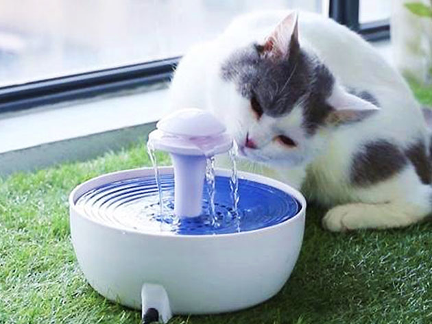 EZ-PET Automatic Water Fountain