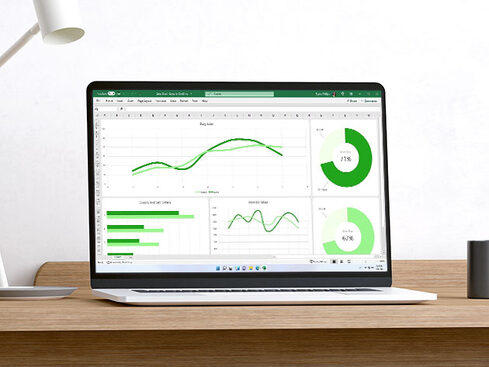 The Ultimate Microsoft Office Professional 2021 for Windows