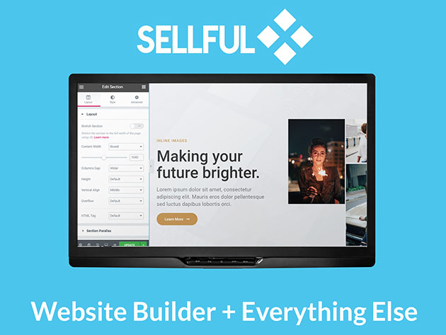 Sellful - White Label Website Builder & Software: Basic Agency Plan (Lifetime)