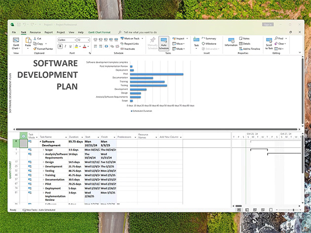 Microsoft Project Professional 2024: Lifetime License for Windows